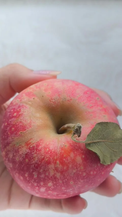 A juicy red apple with a green leaf in a womans hand. Juicy fruits. Stock Footage 314976269