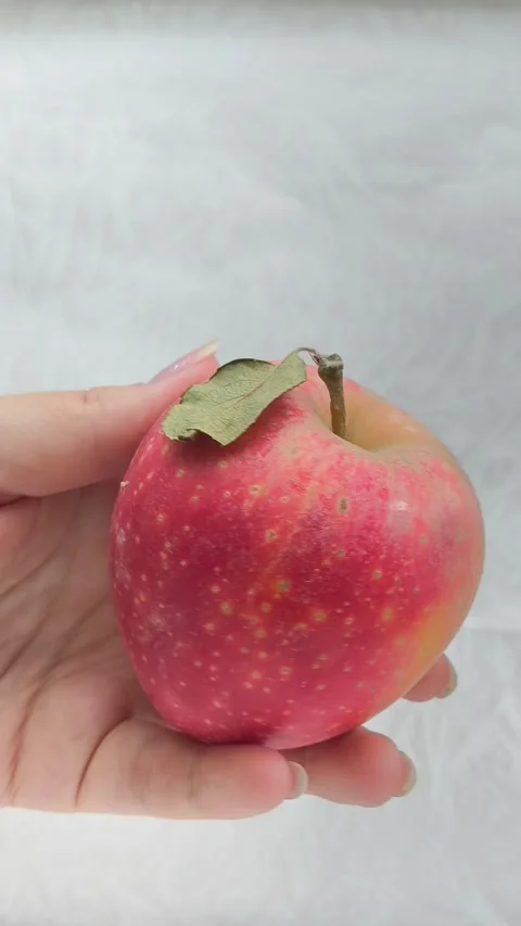 A juicy red apple with a green leaf in a womans hand. Juicy fruits. Stock Footage 314976311
