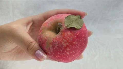 A juicy red apple with a green leaf in a womans hand. Juicy fruits. Stock Footage 314976377