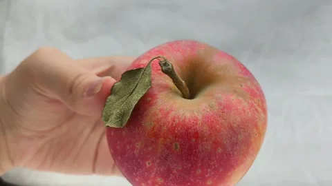 A juicy red apple with a green leaf in a womans hand. Juicy fruits. Stock Footage 314976418