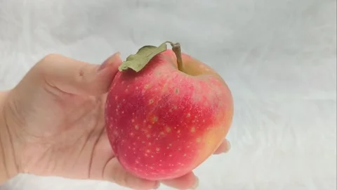 A juicy red apple with a green leaf in a womans hand. Juicy fruits. Stock Footage 314976437
