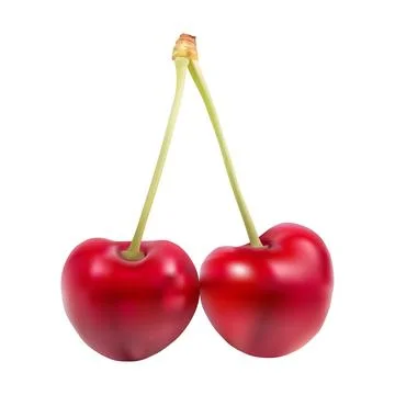 Juicy red cherry Stock Illustration