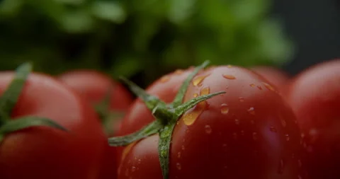 Juicy red tomatoes with dripping drops of water 스톡 동영상 310956590