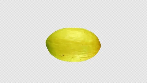 Juicy ripe melon (alpha channel) Video stock 249263052