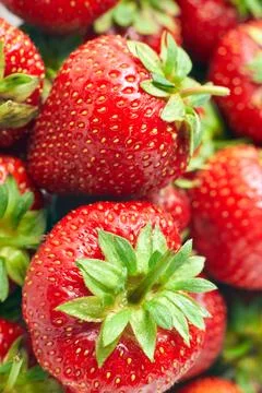 Juicy ripe strawberries close up Stock Photos