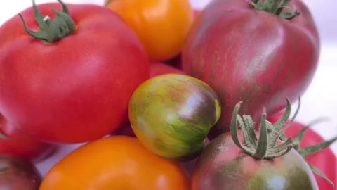 Juicy ripen tomatoes 動画素材 202212381