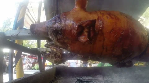 Juicy Roast Pig on a Spit Stock Footage 67496186