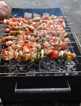 Juicy roasted kebabs Stock Photos