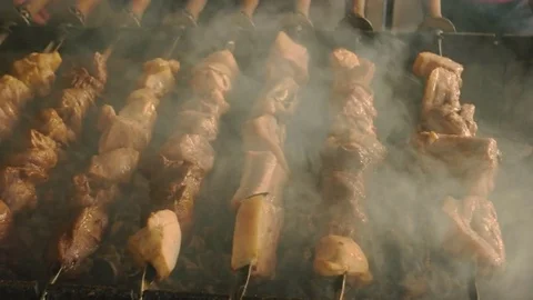 Juicy shashlik on brazier. Stock Footage