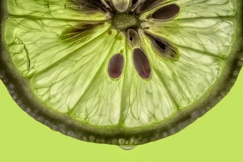 Juicy slice of lime Foto stock