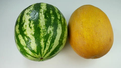 Juicy slice of watermelon Stock Footage 234219828