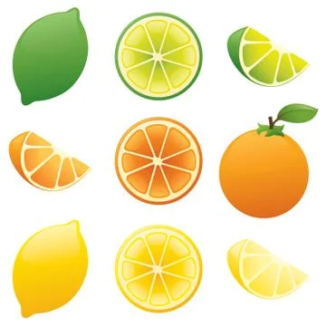 Juicy slices Stock Illustration