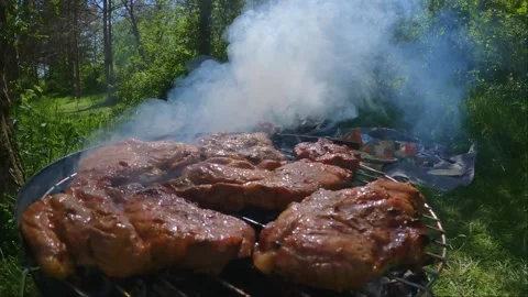 Juicy steaks sizzling on grill rack over charcoal outdoor barbecue in forest Stock Footage 310934016