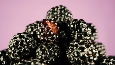 Juicy sweet raspberry. Pink isolated background. Unusual black berry Stock Footage 112238065