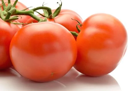 Juicy tomatoes Stock Photos