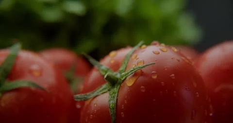 Juicy tomatoes under a splash of water for background 스톡 동영상 310957136