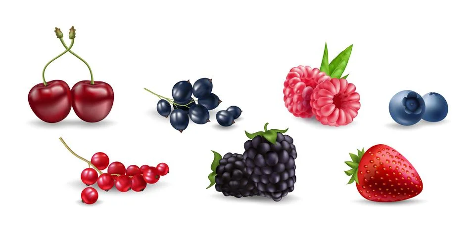 Juicy vector berries raspberry, blueberry, cherry, currant, blackberry, str.. 库存插图