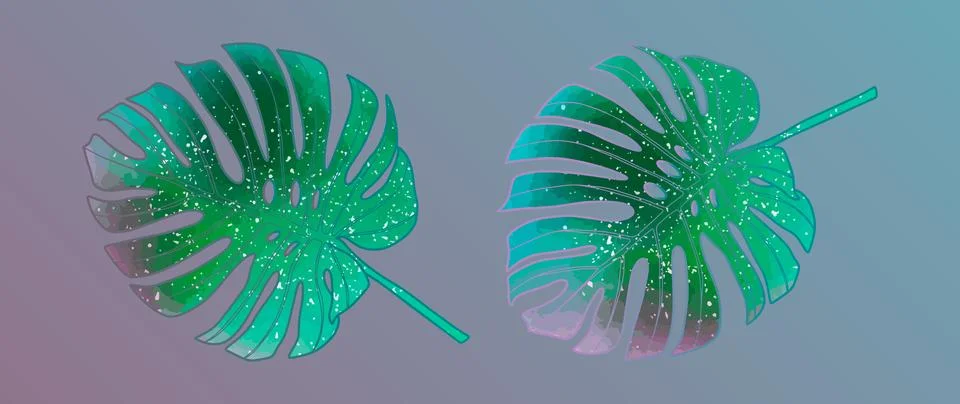 Juicy vector illustration with big green monstera leaves. Stock Illustration