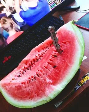 Juicy watermelon Stock Photos