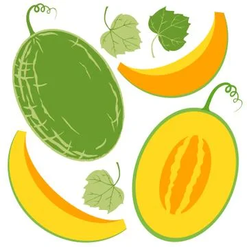 Juicy yellow melon element set Stock Illustration