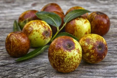 Jujube fruits (Ziziphus jujuba).  Healthy fruit cleans blood, contains vitami Stock Photos