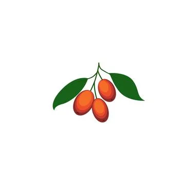 Jujube Stock Illustration