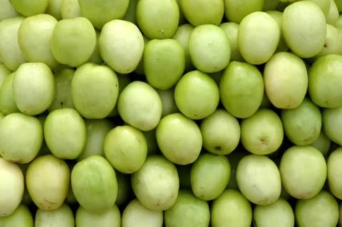 Jujube 스톡 사진