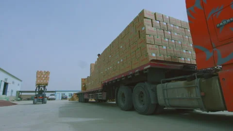 Jujube transportation Stock Footage 240974751