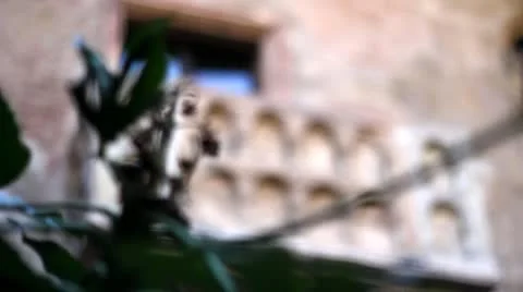 Juliet balcony, Verona Stock Footage