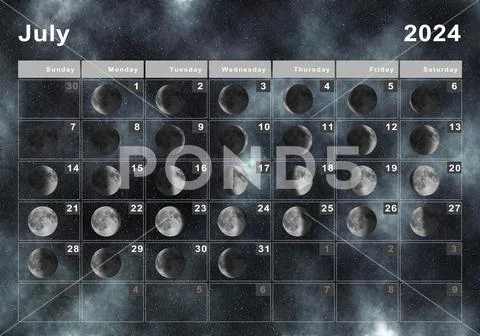 July 2024 Lunar calendar, Moon cycles Illustration #219365792