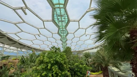 July 27, 2022 Inside the botanical garden in Bucheon, South Korea Stock Footage 202020587