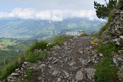 July in Swiss Stock Photos
