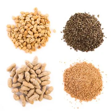 Jumbo salted peanuts Foto stock