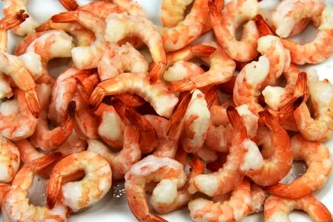 Jumbo Shrimp Close-up 写真素材