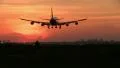 Jumbojet landing at sunrise HD Footage