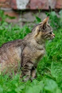 Before the jump Stock Photos