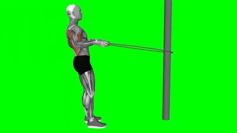 Jump Rope row green screen fitness gym exercise workout animation muscle highlig Vídeos de archivo 247707820