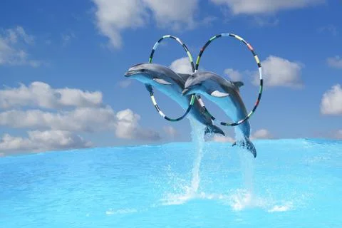 Jump the two large bottlenose dolphins bottlenose Dolphin (lat. Tursiops trun Stock Photos