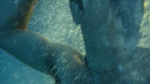 Jump into Water 4 Stock Footage 805279