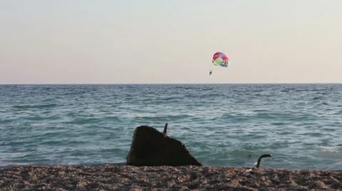 Jumper on sea Stockbeeldmateriaal 8539671