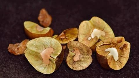 Jumping Beans Stock Photos