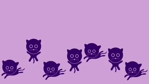 Jumping black cat Stock Footage 318124869