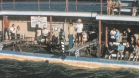 Jumping Bottlenose Dolphin At Jack Evans Porpoise Pool Tweed Heads 1960s Stock Footage 341348252