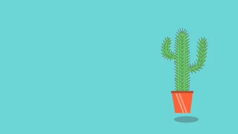 Jumping cactus on a blue background surprised discounts Stock Footage 97952500