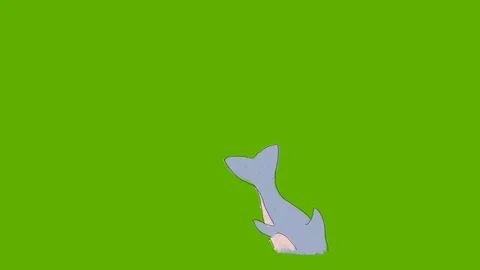 Jumping dolphin. 库存影片 108978562