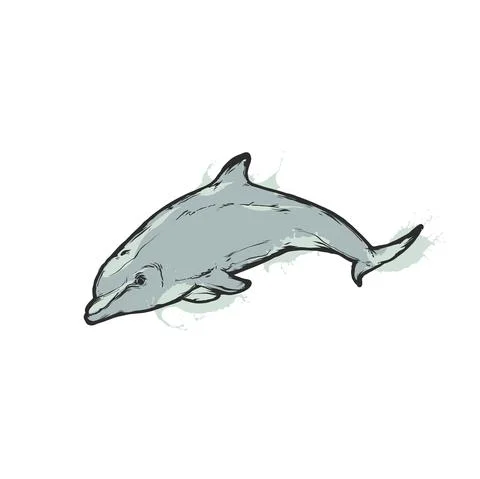Jumping dolphin, vintage flat vector emblem art Stock Illustration