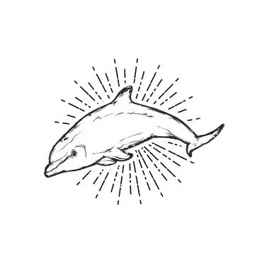 Jumping dolphin, vintage flat vector emblem art Stock Illustration