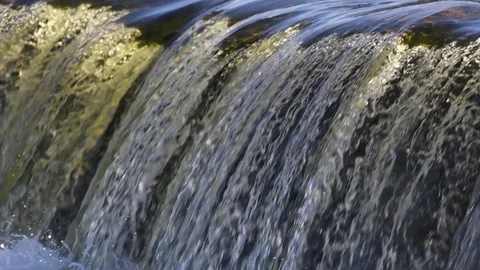 Jumping of fish in slow motion. Stock Footage 106574616