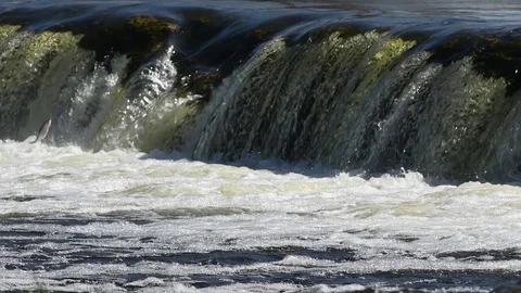 Jumping of fish in slow motion. Stock Footage 106574649