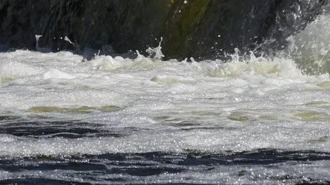 Jumping of fish in slow motion. Stock Footage 106574686